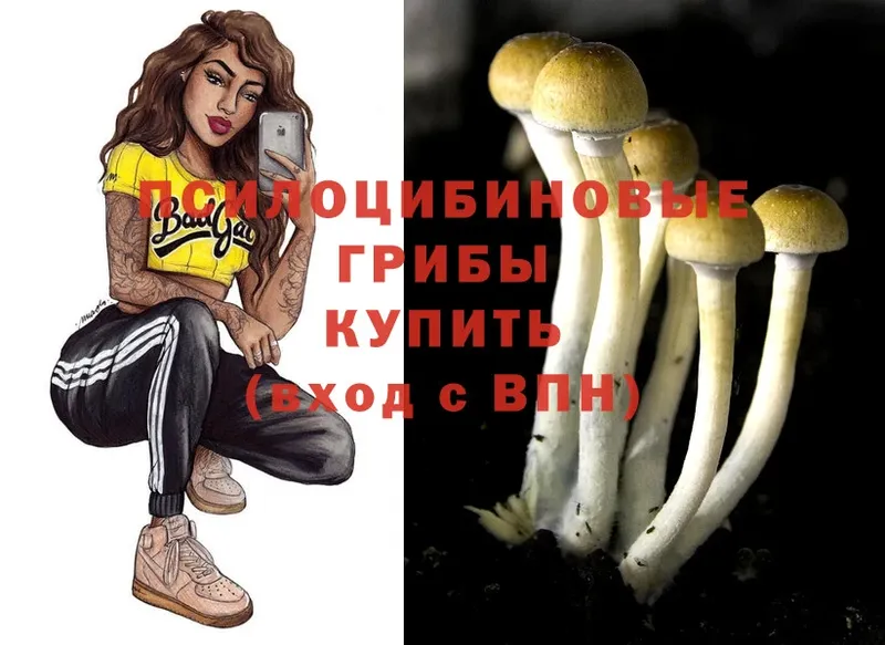 Псилоцибиновые грибы Magic Shrooms  как найти закладки  Барабинск 